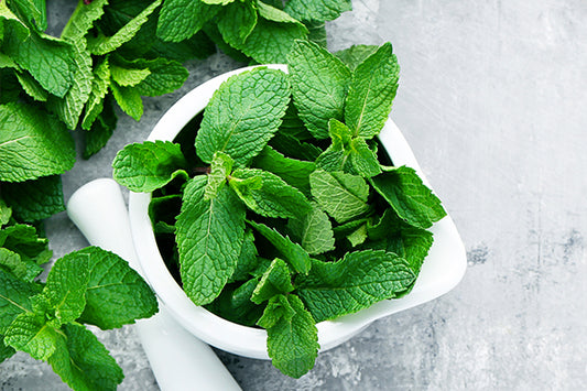 Beneficios de la Menta