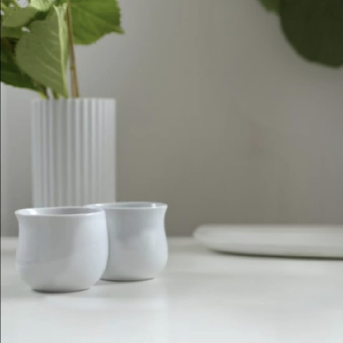 Set Vasos de Porcelana COBRA Georg Jensen5#Blanco