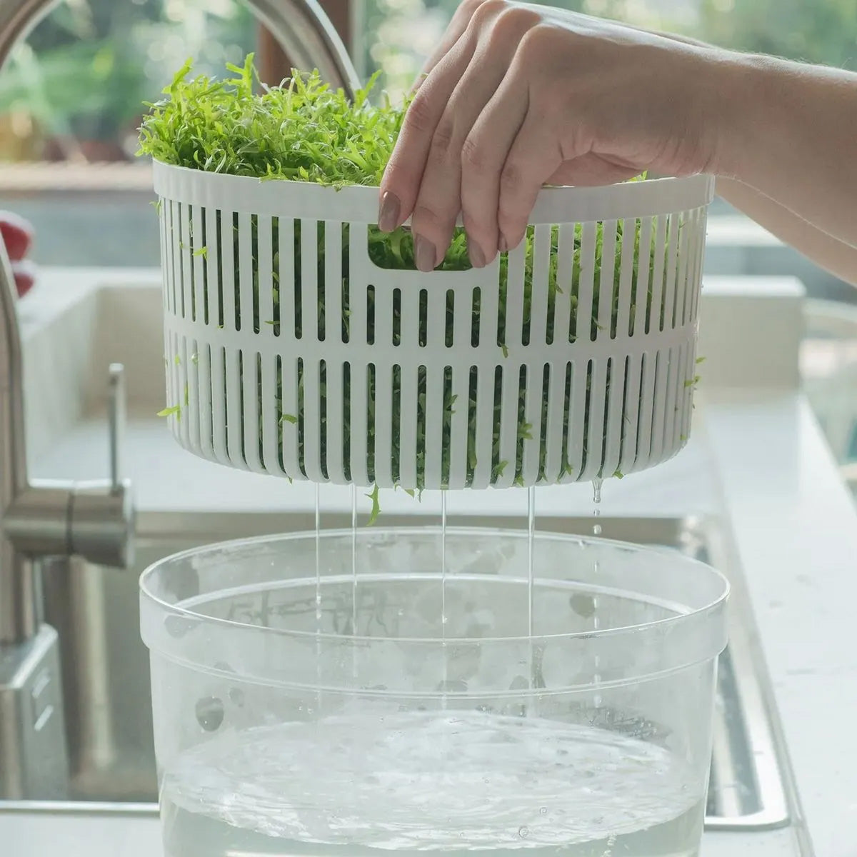 Kit Centrífuga y Organizador de Verduras 5.5L Clear Fresh Ou3#Transparente