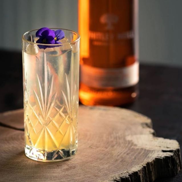 Set 6 Vasos Altos Melodía RCR1#Sin color