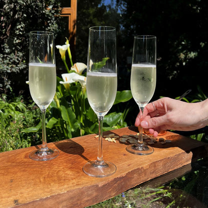 Set 6 Copas Champagne Viola Bohemia2#Sin color