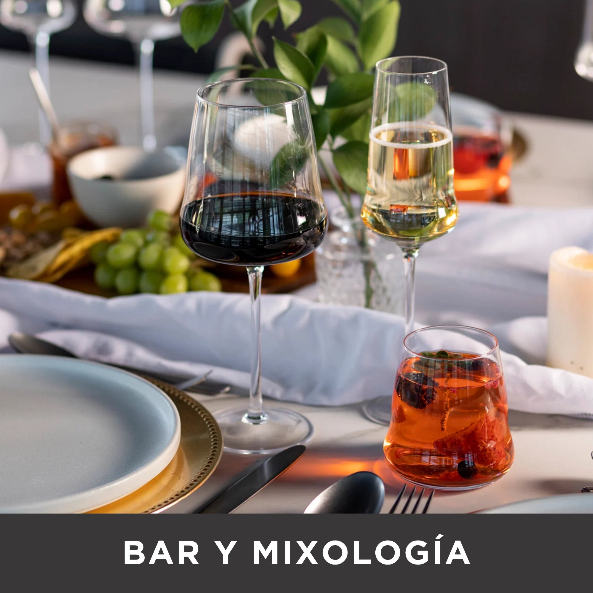 C4_AO_BARYMIXOLOGIA_08042026