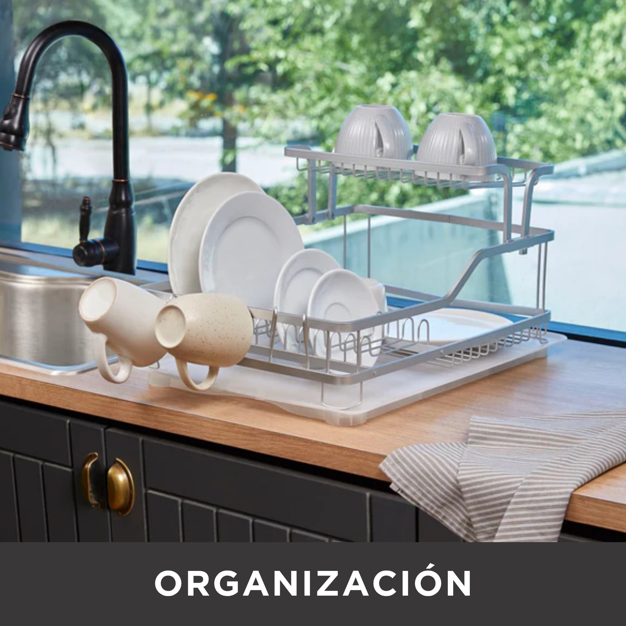 C5_AO_ORGANIZACION_11052026