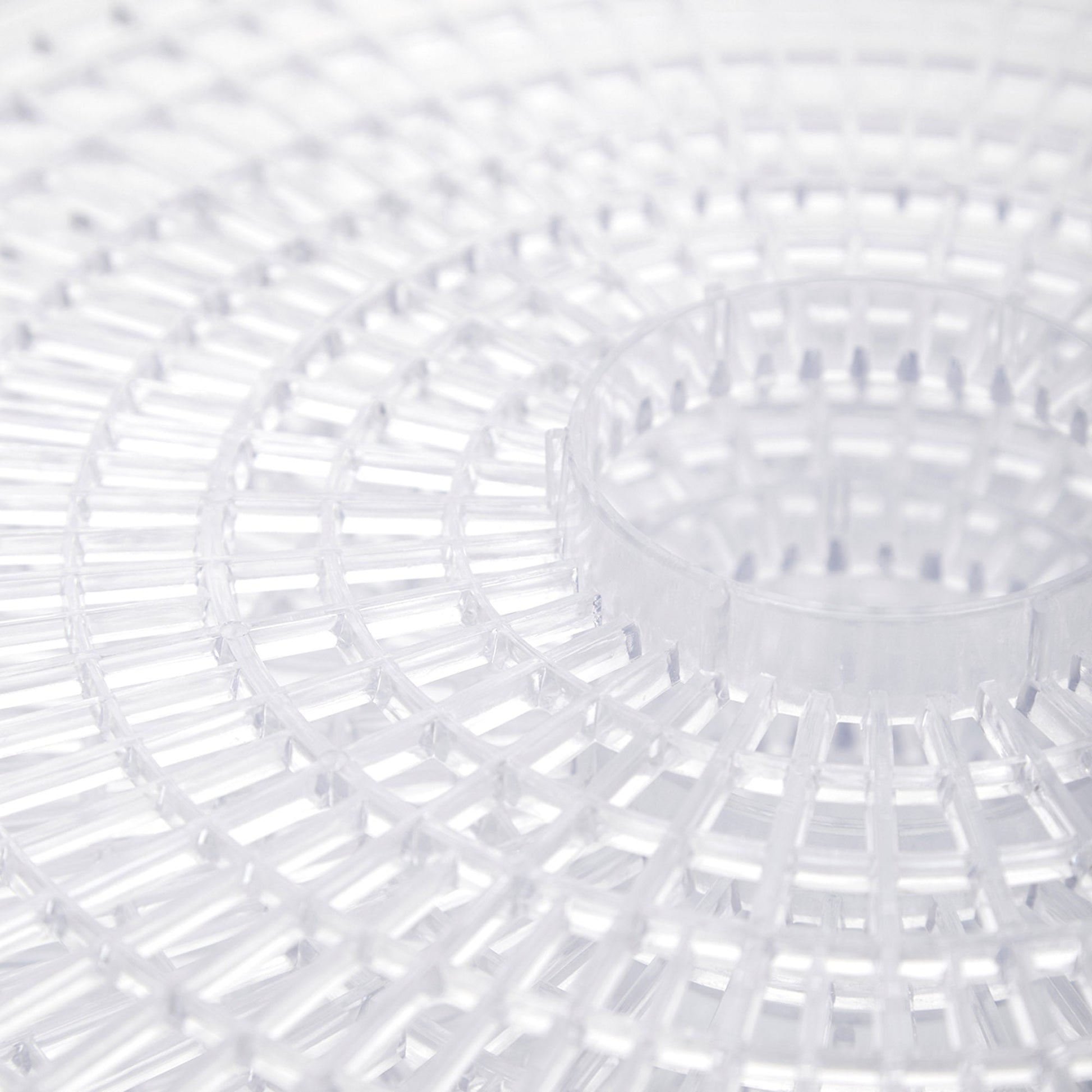 Máquina Deshidratadora De Alimentos Blanik13#Blanco