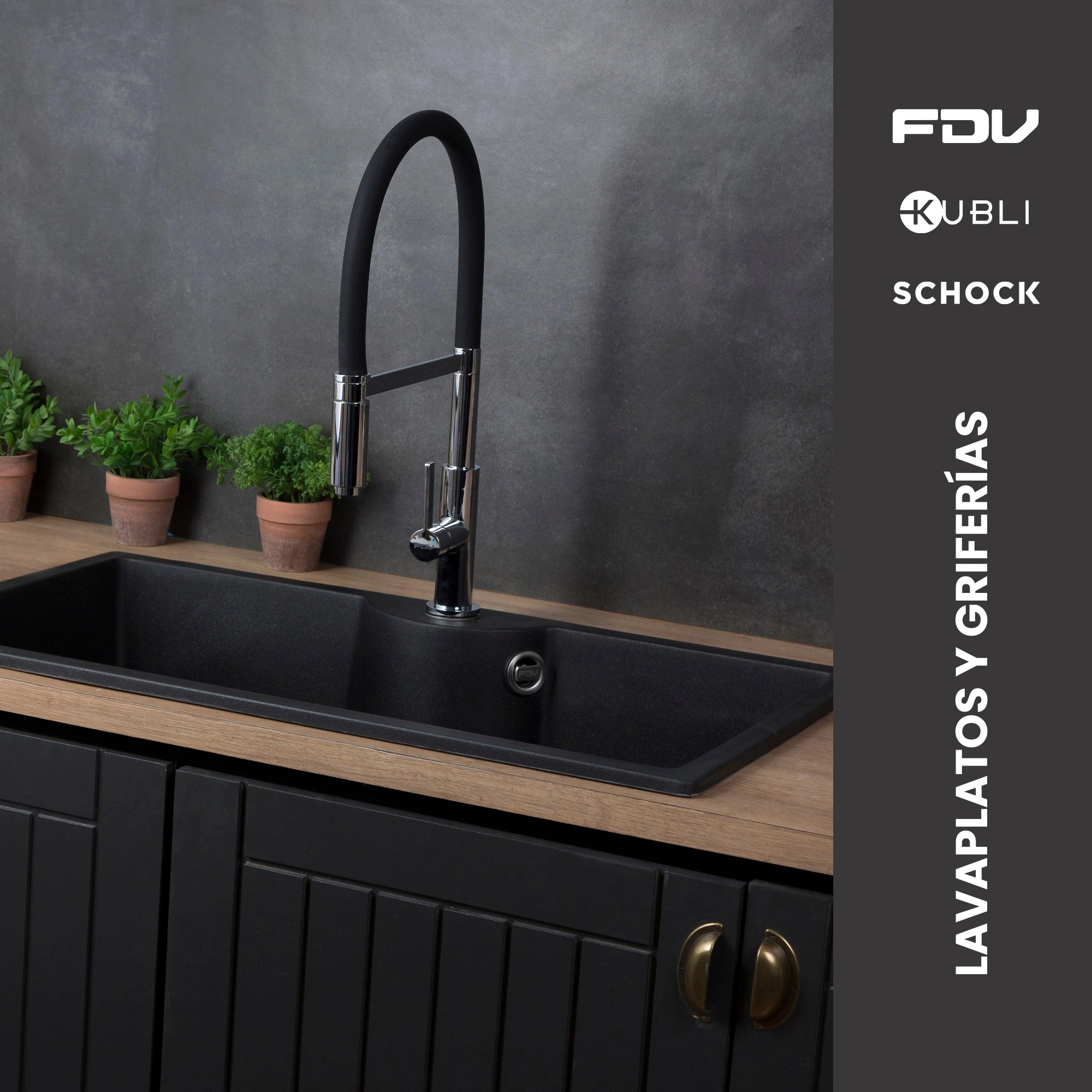 D2_AO_LAVAPLATOSYGRIFERIAS_18032026