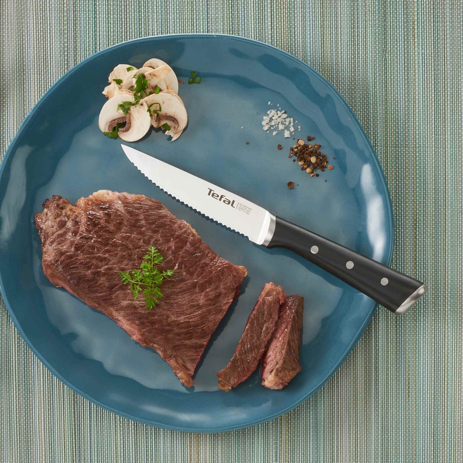 Set 4 Cuchillos Ice Force 11 Cm Tefal1#Negro