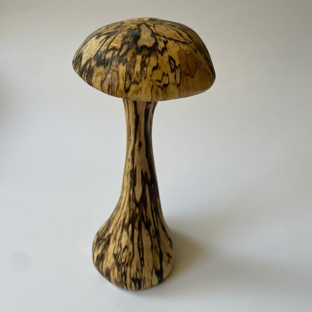 Hongo Madera Nativo L 18 Cm Milenaria Alerce1#Cafe
