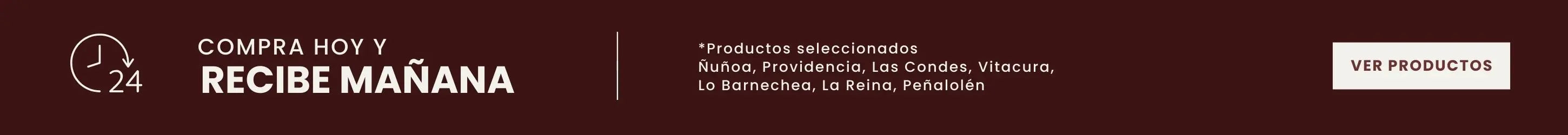 L1_NAVIDAD_DESPACHO24HRS_17122025