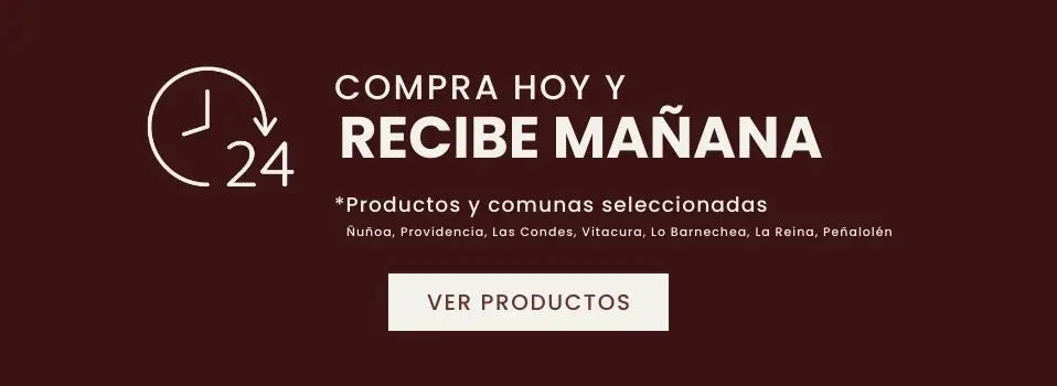 L1_NAVIDAD_DESPACHO24HRS_17122025