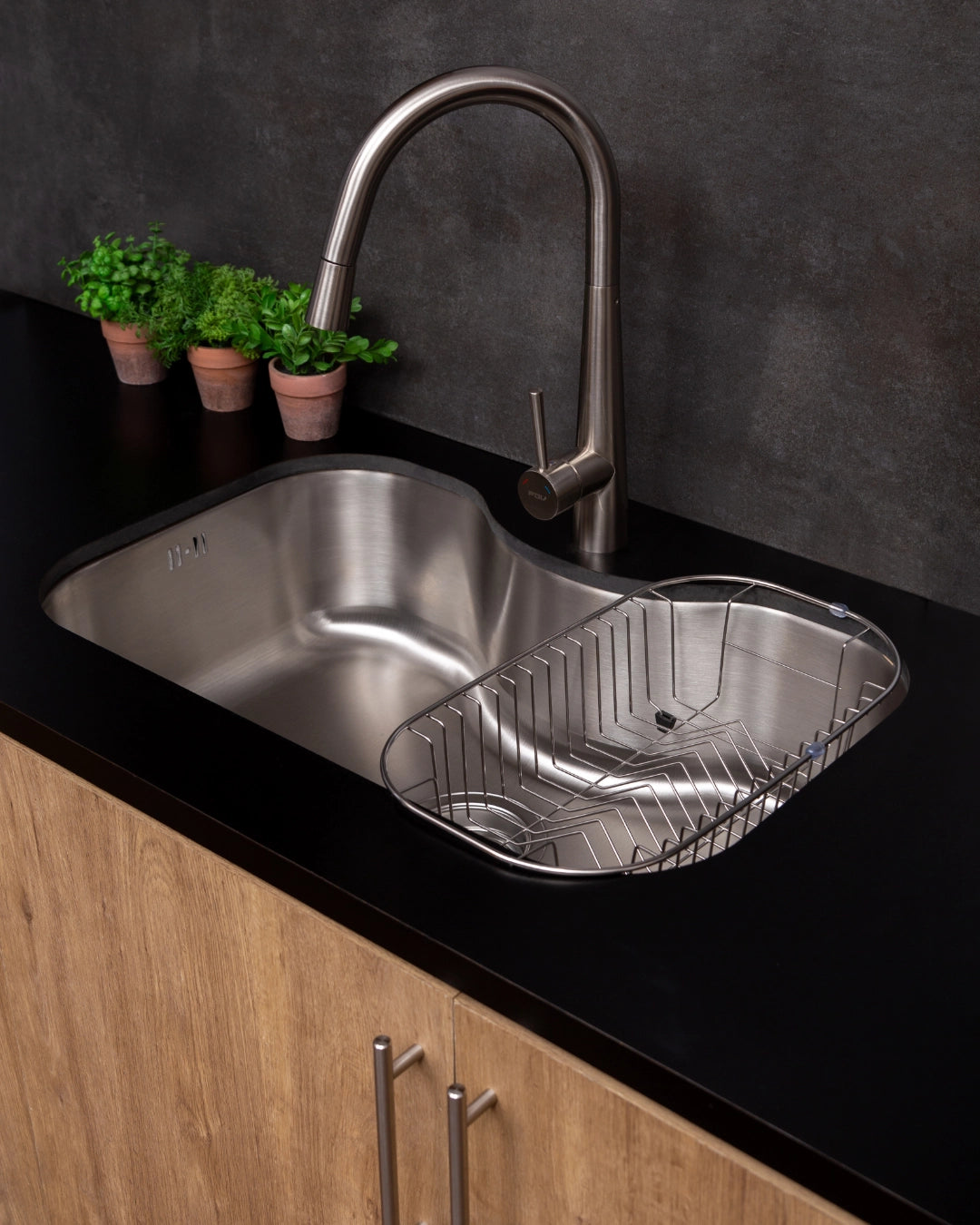 CAT_LAVAPLATOSYGRIFERIAS_26022026