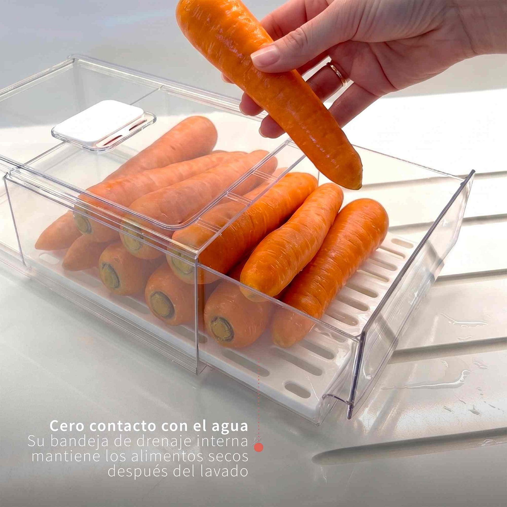 Org-refrigerador-drenajeL-Simplit-GW-4-compressed.jpg