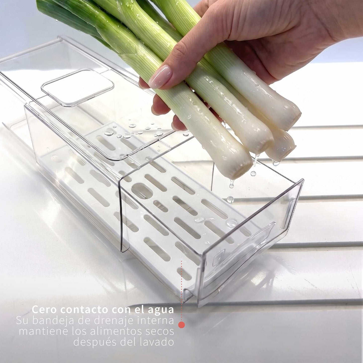Org-refrigerador-drenajeS-Simplit-GW-4-compressed.jpg