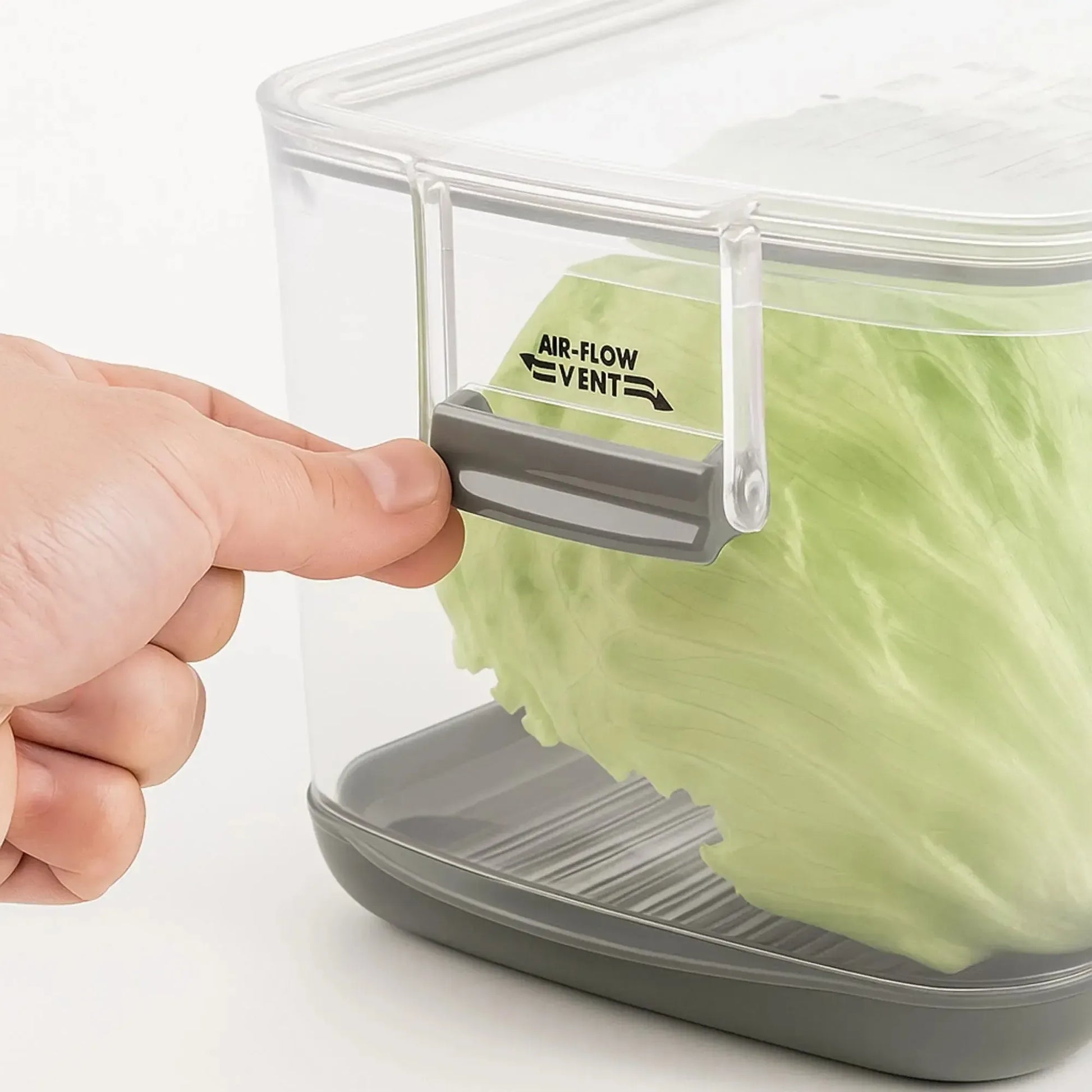 Conservador de Lechuga Prokeeper2#Sin color