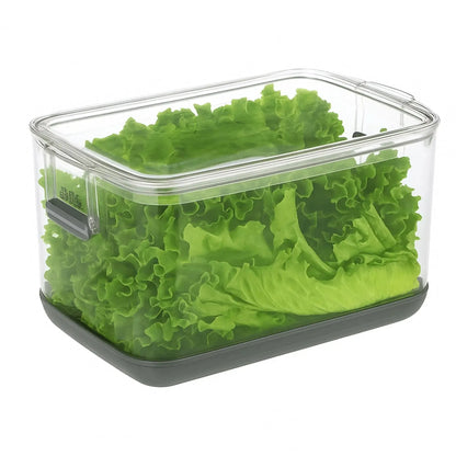 Conservador de Lechuga Prokeeper1#Sin color