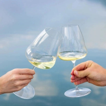 Copa Winewings Sauvignon Blanc Riedel1#Sin color