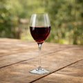 copa_de_vino_sophia_1500x1500.jpg
