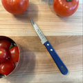 Cuchillo Multiuso Sierra Laguiole Jean Dubost6#Azul
