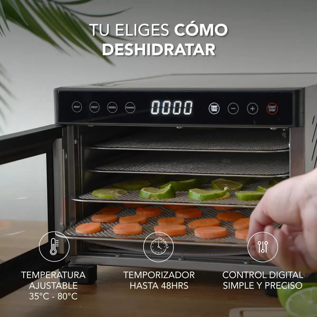 Deshidratador de Alimentos Mouvair Dry-Deshidratadores