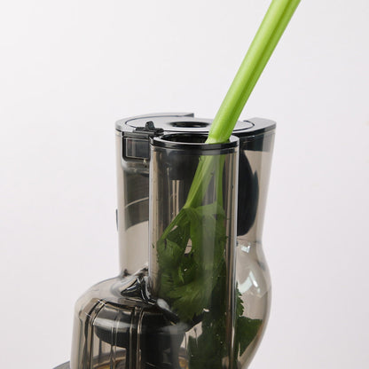 Extractor De Jugo De Frutas Y Verduras Prensado En Frío REVO830  Kuvings7#Acero