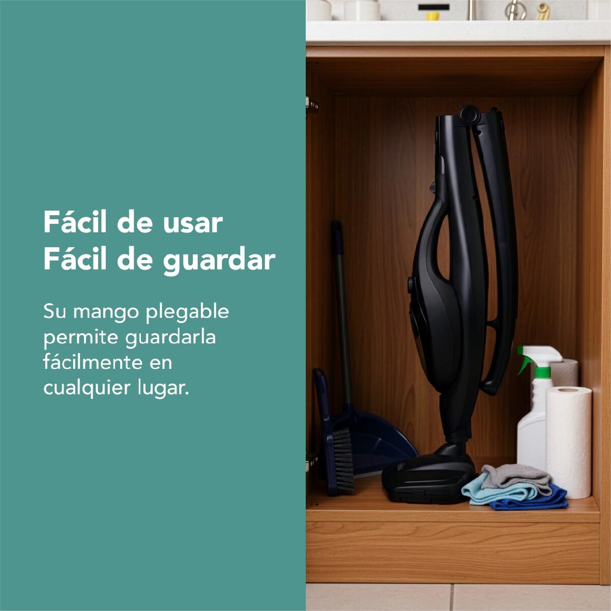 infografÃ­a_mopa_steam-02.jpg