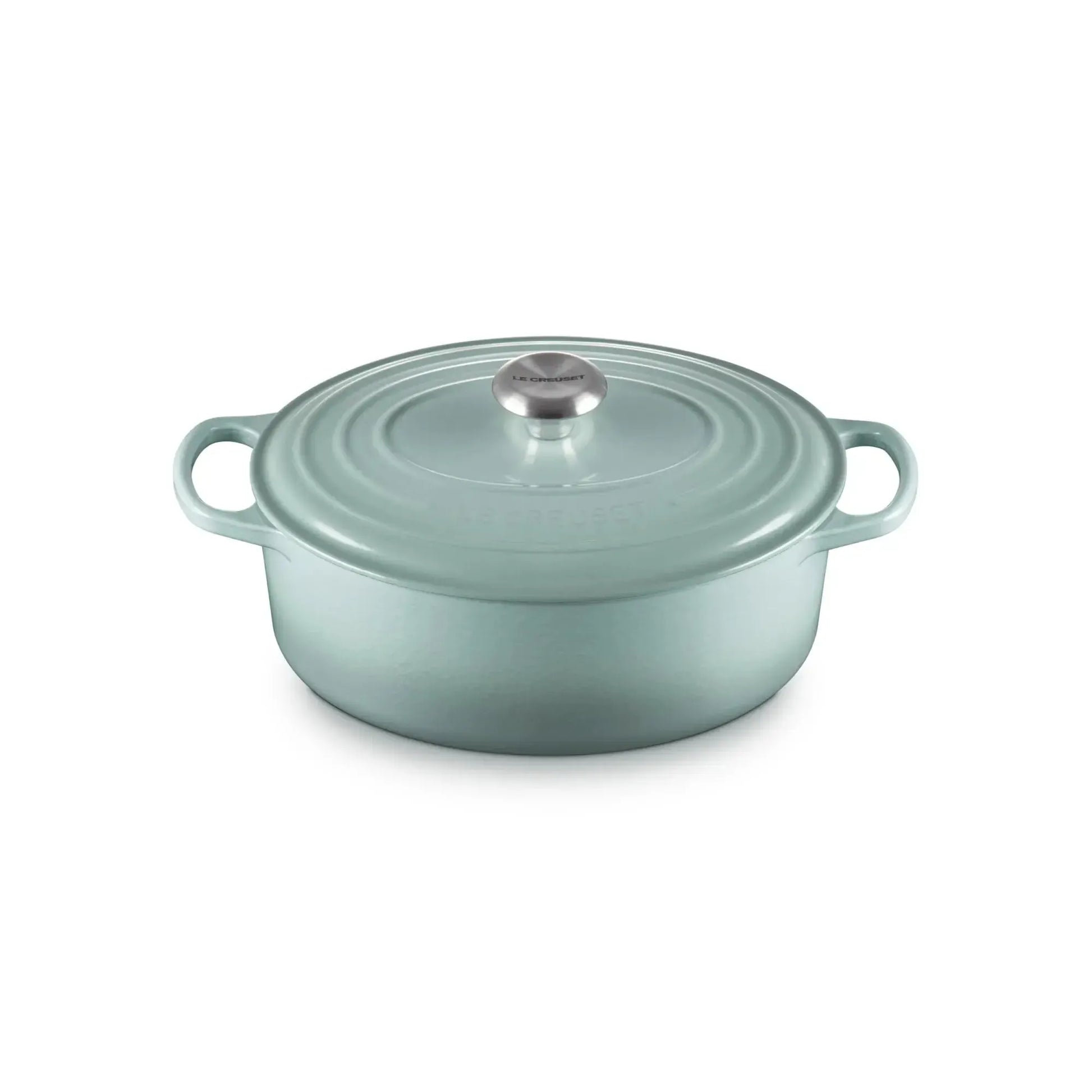 Le Creuset Cocotte Ovalada 27cm Sea Salt Hierro1#Sin color