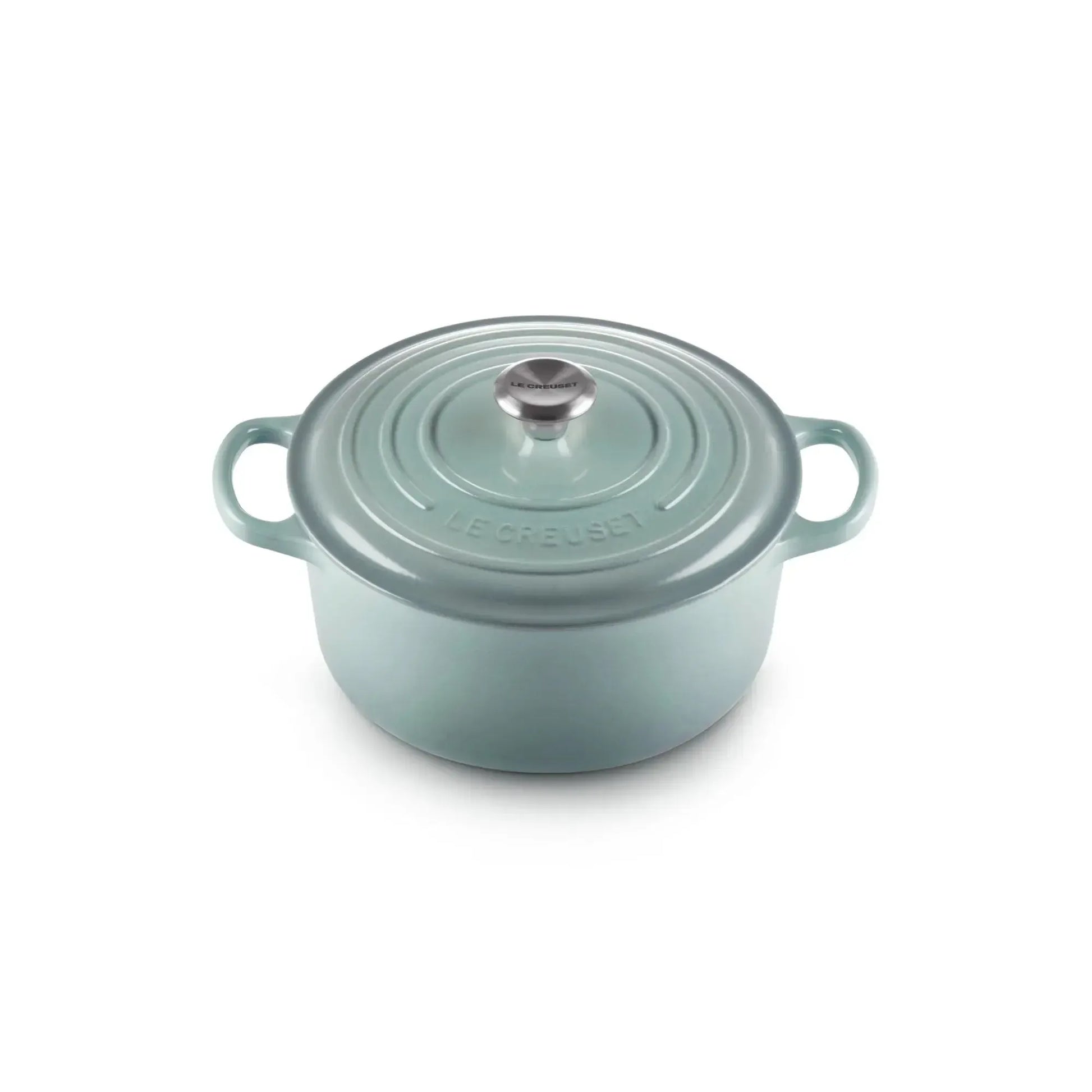 Le Creuset Cocotte Redonda 22cm Sea Salt Hierro1#Sin color