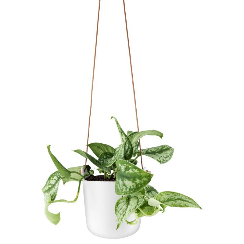 Macetero Colgante Auto Riego Eva Solo7#Gris