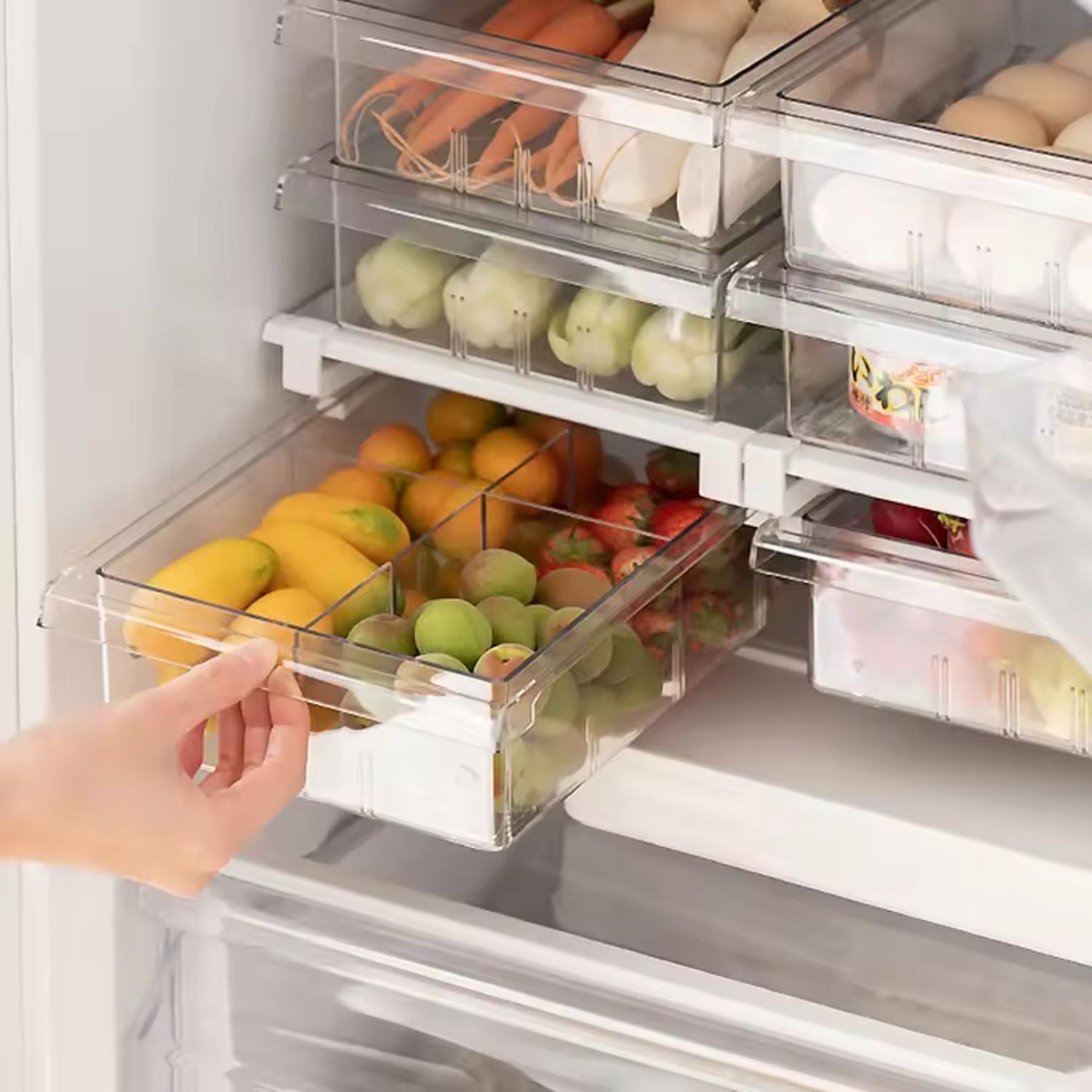 Organizador para Refrigerador con Separadores Santú Home & Deco3#Sin color