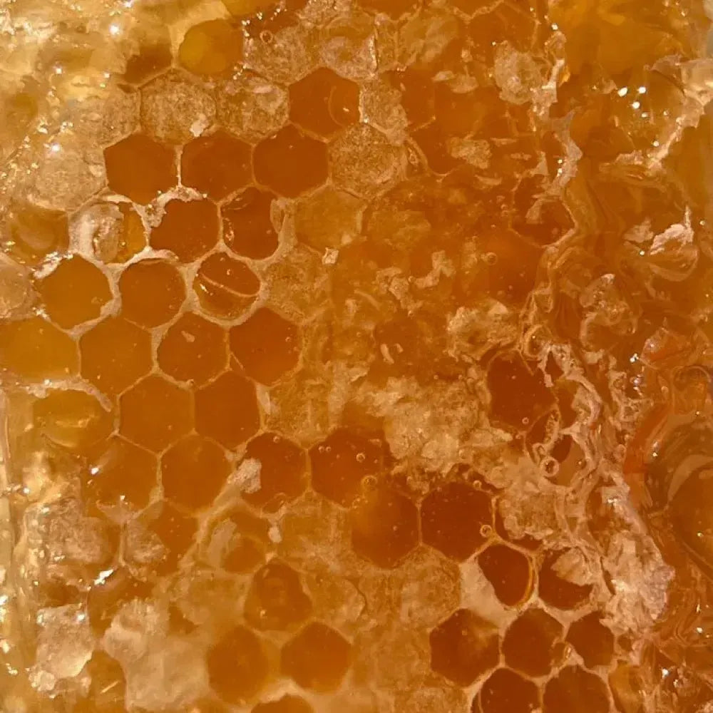 Panal de Miel Multifloral 210g Coquinaria-Gourmet