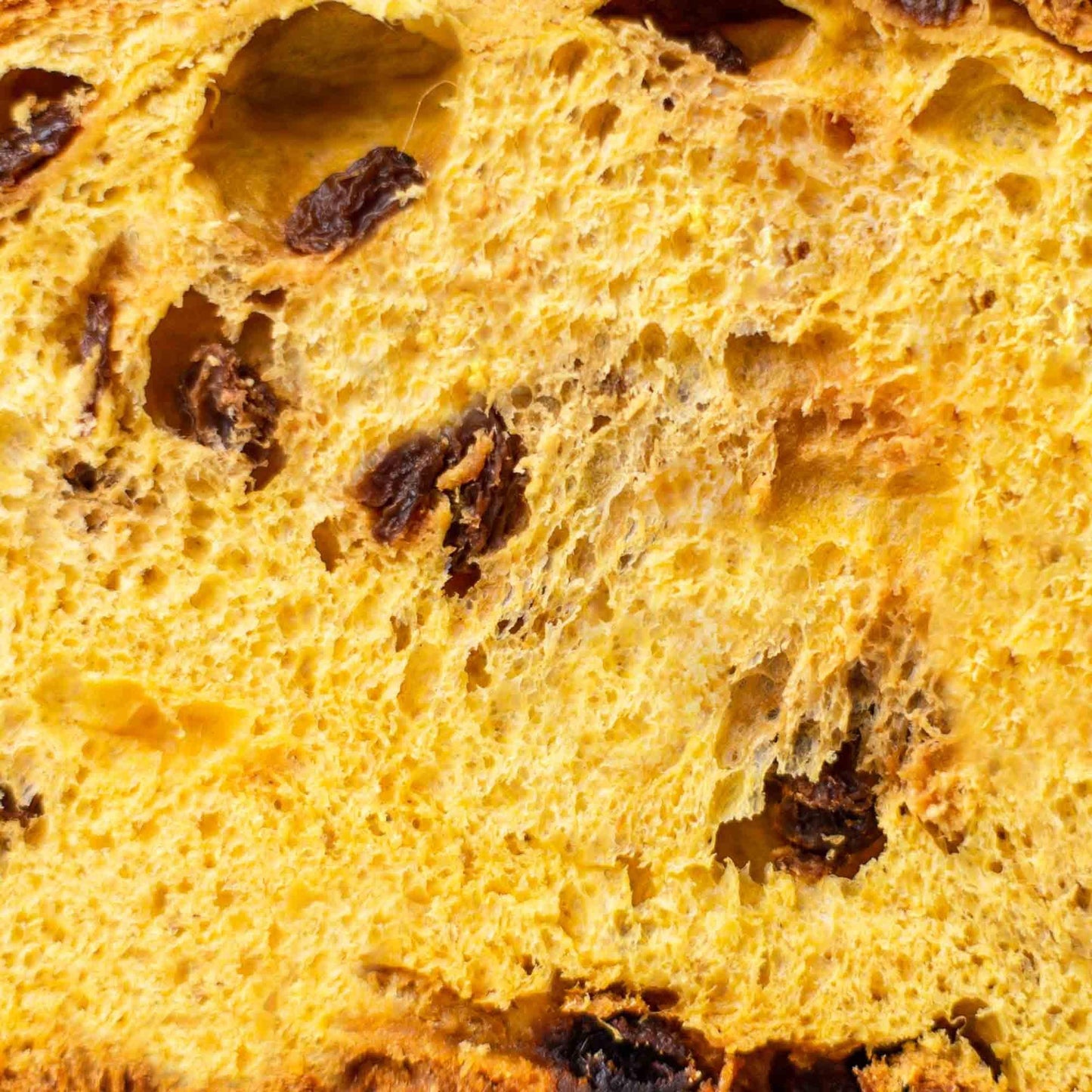 Panettone 1 kg en Lata Cipriani