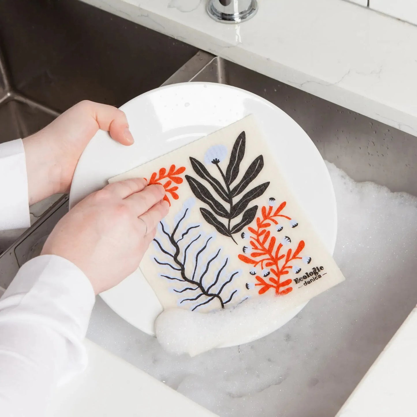 Paño Esponja Compostable algas Danica