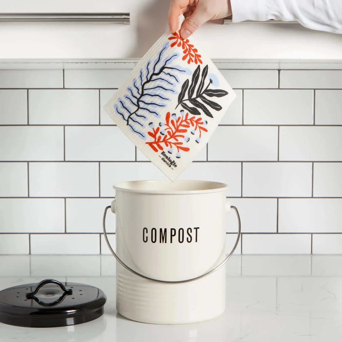 Paño Esponja Compostable algas Danica