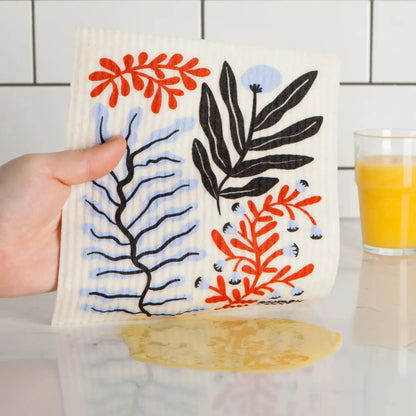 Paño Esponja Compostable algas Danica