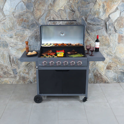 PARRILLA A GAS DARK HAWK 6Q-Parrillas a Gas