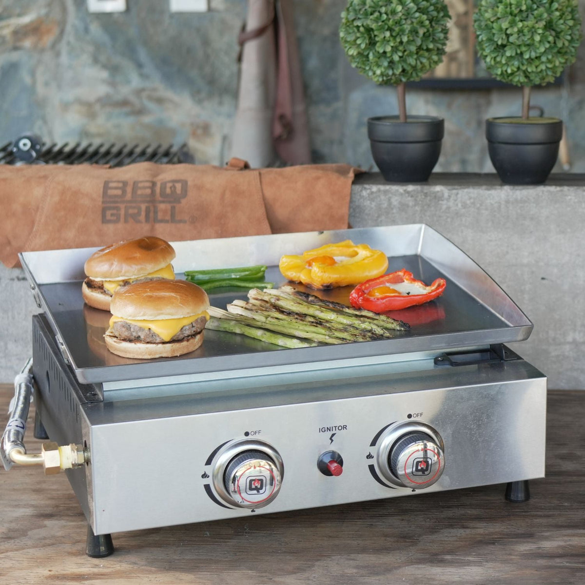 PLANCHA A GAS FLAT TOP GRILL 2Q-Planchas
