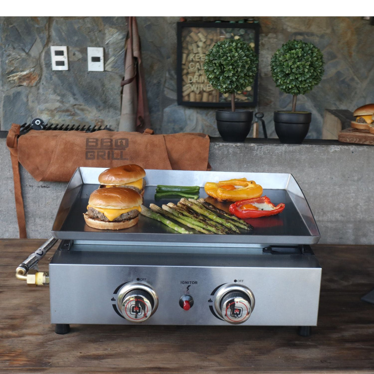 PLANCHA A GAS FLAT TOP GRILL 2Q-Planchas