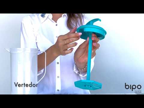 Set Celebración Traslucido Bipo8#Sin color