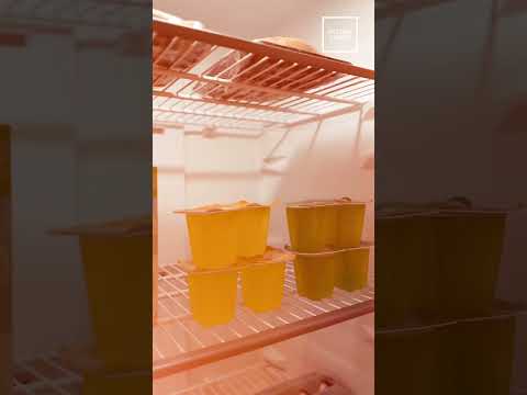 @https://www.youtube.com/watch?v=fvYVoJVFzvI?feature=share