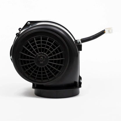 Repuesto FDV / Fagor Campana Valvula Antiretorno