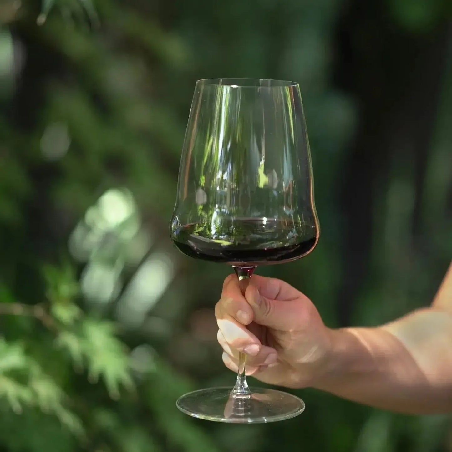 Set 2 Copas Winewings Cabernet Merlot Riedel-Copas