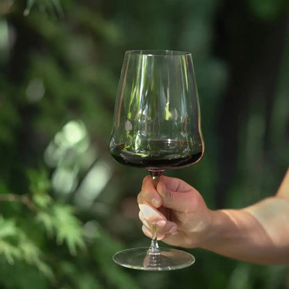 Set 2 Copas Winewings Cabernet Merlot Riedel-Copas