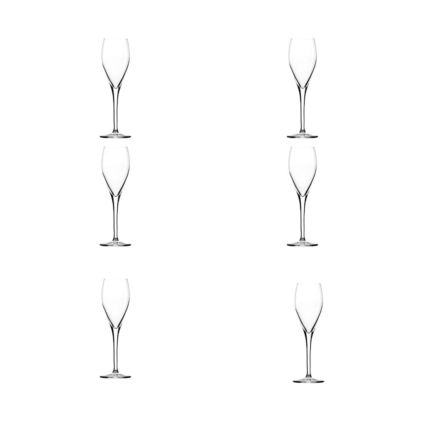 Set 6 Copas Champagne 145 ml Sparkling, Stölzle Lausitz3#undefined