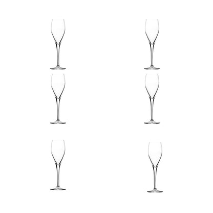 Set 6 Copas Champagne 145 ml Sparkling, Stölzle Lausitz3#undefined