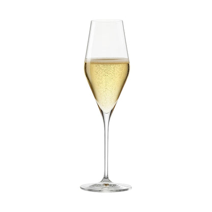 Set 6 Copas Champagne 290 ml Quatrophil, Stölzle Lausitz3#Sin color
