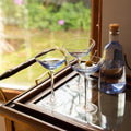Set 6 Copas Martini Napoles 180 Ml Decoexpress1#Sin color