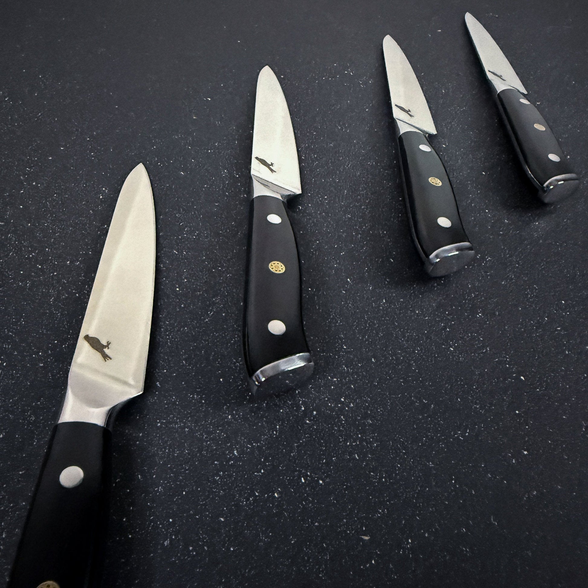 Set de 4 Cuchillos de Mesa Acero Inoxidable 23cm "Lanín"-Cuchillos