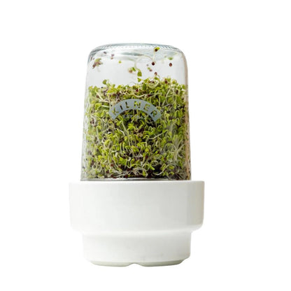 Set Juego Para Germinar Semillas 0,5 Lts. Kilner 3#Sin color