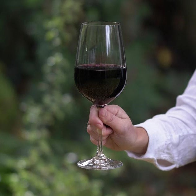 Set 6 Copas Vino Tinto Viola Bohemia2#Sin color