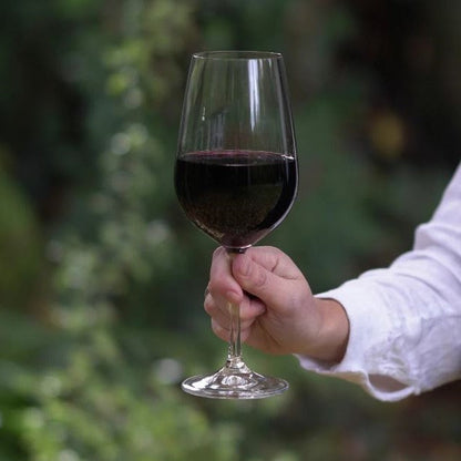 Set 6 Copas Vino Tinto Viola Bohemia2#Sin color