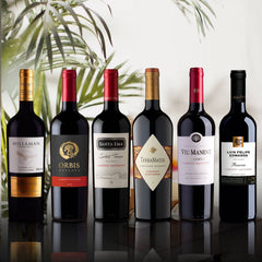 6 Vinos Ultra Reserva Cabernet Sauvignon1#Sin color
